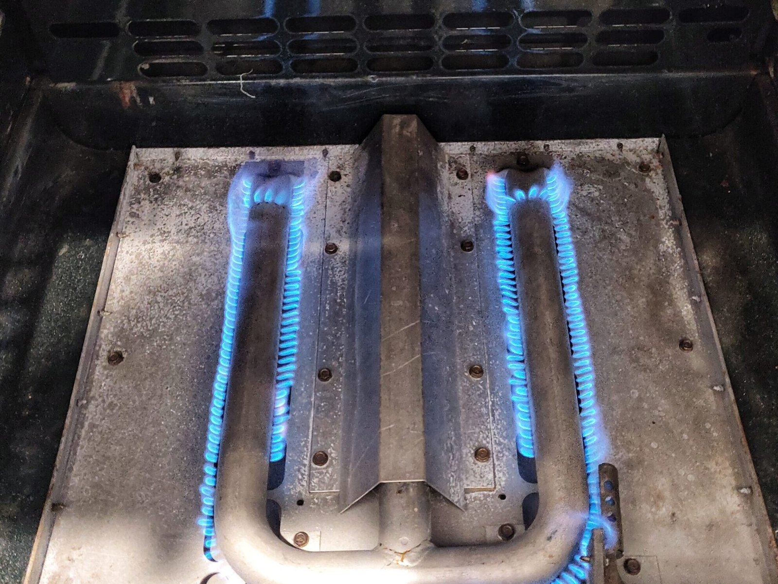 Testing the blue gas flame on a U-shaped bake burner inside a luxury Wolf built-in oven after repair.